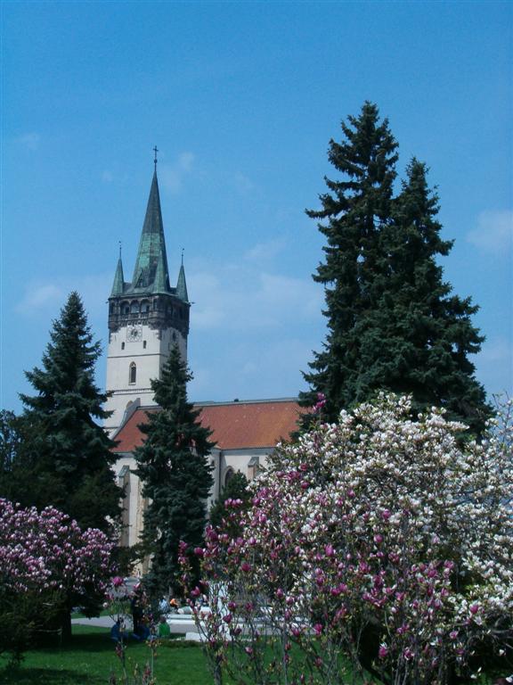 HPIM4021 (Large).JPG